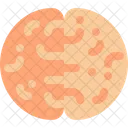 Gehirn  Symbol