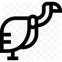 Geier Araber Araberin Symbol