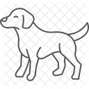Gekritzel Hund Haustier Symbol