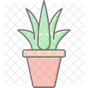 Gel Aloe Vera Lineal Color Icon Icône
