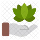Natur Spiritualitat Erdung Symbol