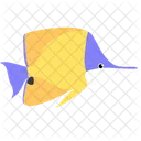 Gelber Langnasen Falterfisch Meerestier Tier Symbol