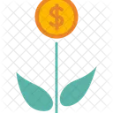 Geldblume  Symbol