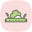 Gemulchtes Gartenfeld Gemulcht Garten Symbol
