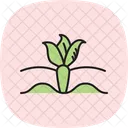 Gemusefarm Gemuse Bauernhof Symbol