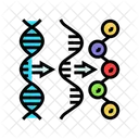 Gen Expresion Criptogenetica Icono