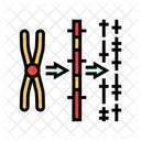 Gen Mapeo Criptogenetica Icono