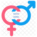 Gender Equality Gender Equality Icon