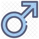 Gender Boy Men Icon