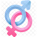Gender Female Male Icon