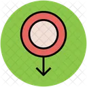 Gender Symbol Sex Icon