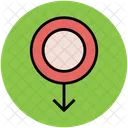 Gender Symbol Sex Icon