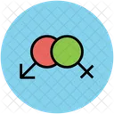 Gender Symbols Sex Icon