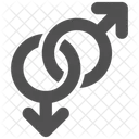 Gender Symbol Sex Symbol Female Gender Icon