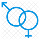 Gender  Icon