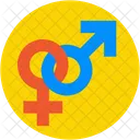 Gender Symbol Sex Icon