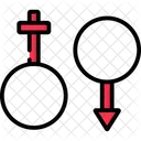Gender Sign  Icon