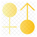 Gender Sign  Icon