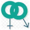 Genders Plastic Surgery Gender Identity Icon
