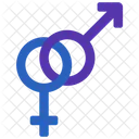 Genders Gender Male Icon