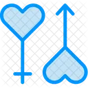 Genders Icon