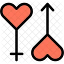 Genders Icon