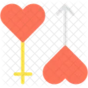 Genders Icon
