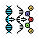 Gene Expression Cryptogenetics Icon