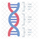 Gene Dna Double Helix Icon