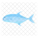 Erlaubnis Fisch  Symbol