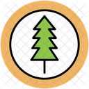 Generic Tree Pine Icon