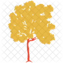 Generic Tree Maple Icon