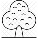 Shrub Tree Flower Tree Icon