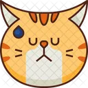 Verargert Emoticon Katze Symbol