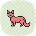 Ginsterkatze Symbol