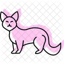 Genet Face Mammal Icon