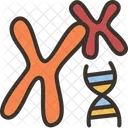 Genetic Chromosome Genome Icon