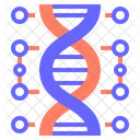 Genetic Dna Genetic Chromosome Icon