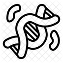 Genetic  Symbol