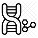 Genetic  Symbol