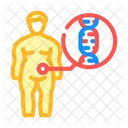 Genetic Predisposition Obesity Icon