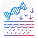 DNA Biologia Ciencia Icon