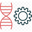 Genetica Cromosoma Biologia Icono