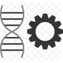 Genetica Cromosoma Biologia Icono