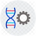 Genetica Cromosoma Biologia Icono