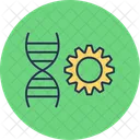 Genetica Cromosoma Biologia Icono