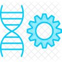 Genetica Cromosoma Biologia Icono