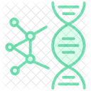 Genetics Color Outline Icon Icon