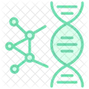 Genetics Color Outline Icon Symbol