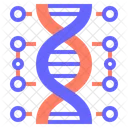 Genetische DNA Genetische Chromosom Icono